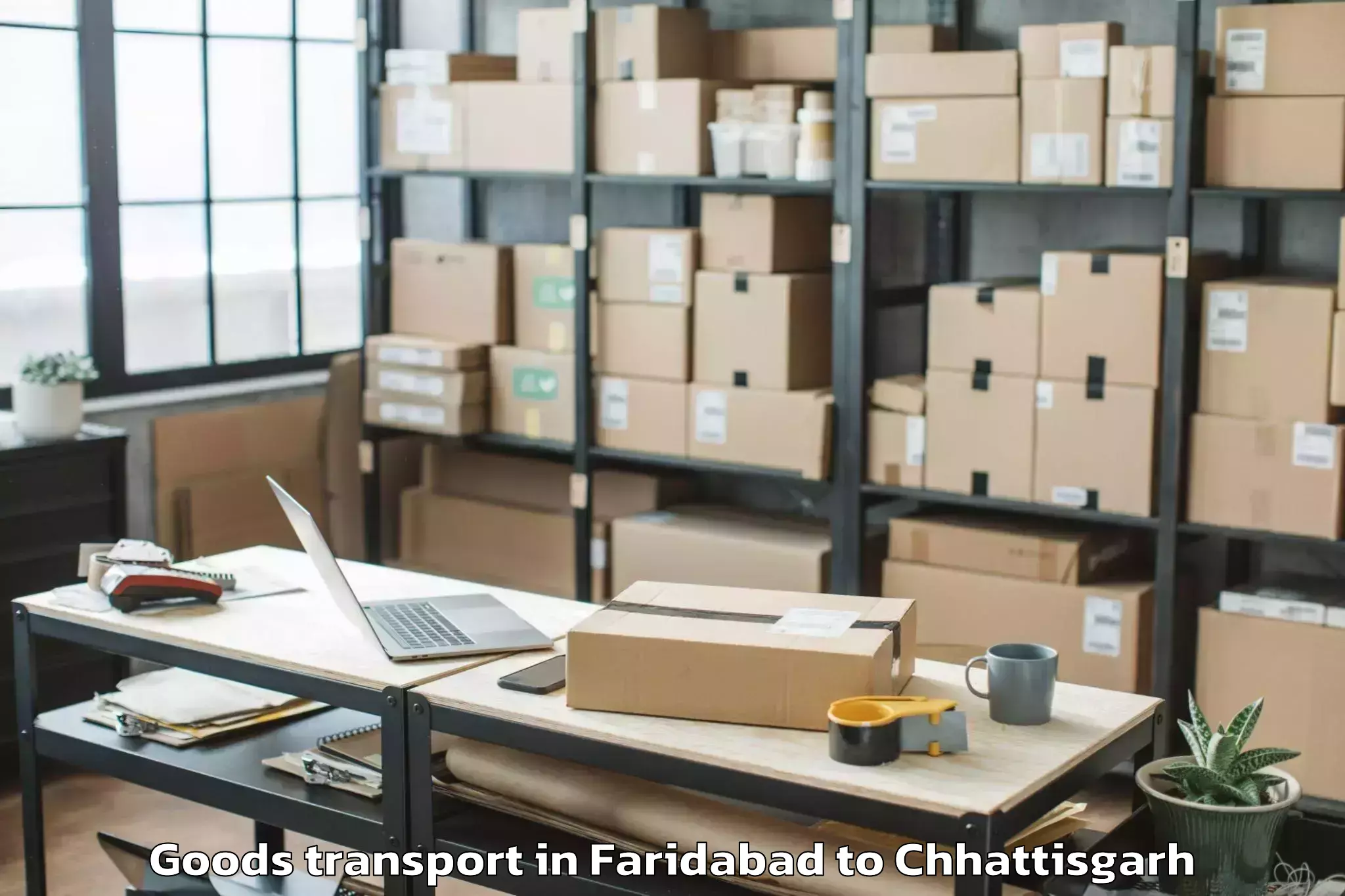 Professional Faridabad to Chhuikhadan Goods Transport